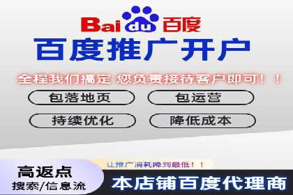 百度竞价包年案例：揭秘高效广告投放秘诀